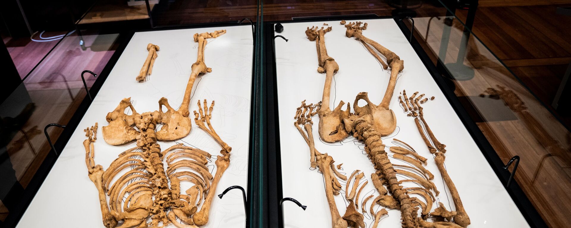 Du skeletai, rasti masiniame kape Oksforde, JK, guli Danijos nacionalinio muziejaus vitrinoje - Sputnik Lietuva, 1920, 12.06.2021