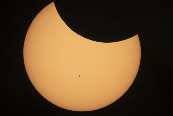 Paukščio siluetas prieš Saulę, kai Mėnulis užstoja jos dalį per dalinį užtemimą, Sankt Peterburgas, Rusija, 2021 metų birželio 10 diena, ketvirtadienis. - Sputnik Lietuva