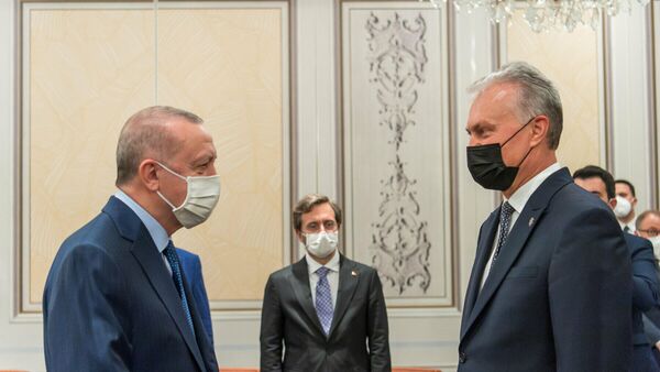 Встреча президента Литвы Гитанаса Науседы с президентом Турции Реджепом Тайипом Эрдоганом - Sputnik Литва