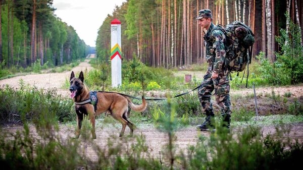 Сотрудник Службы охраны государственной границы (VSAT) Литвы патрулирует границу - Sputnik Литва