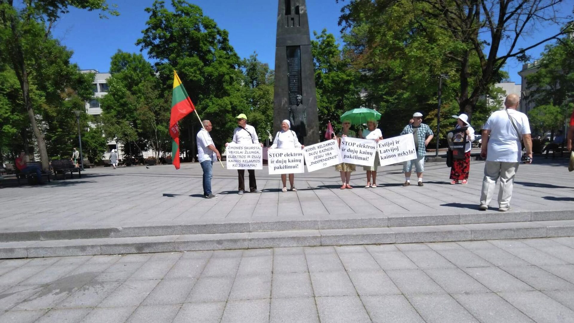 В Литве протестуют против роста цен на газ и электричество - Sputnik Литва, 1920, 17.06.2021