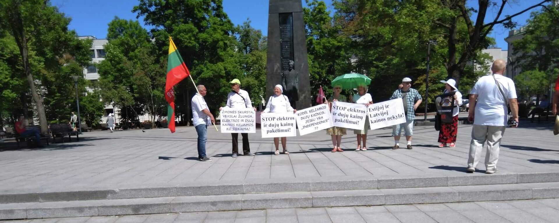 Lietuvoje protestuojama prieš kylančias dujų ir elektros kainas - Sputnik Lietuva, 1920, 17.06.2021