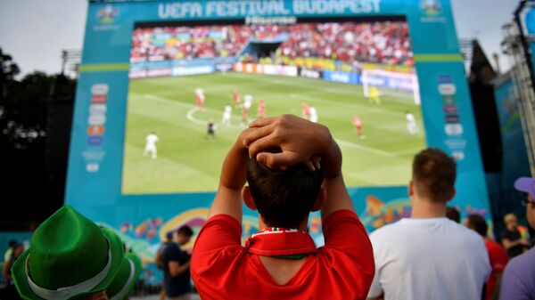 Болельщики смотрят матч Евро-2020 Венгрия - Португалия в Будапеште - Sputnik Литва
