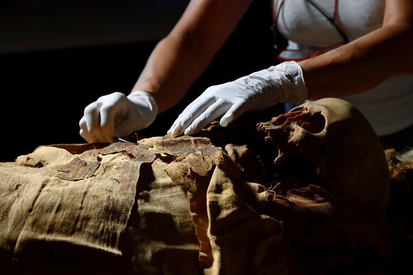 Tyrėjas ruošiasi Egipto mumiją iš Bergamo pilietinio archeologijos muziejaus perkelti į Milano Policlinico ligoninę, kad būtų atlikta kompiuterinė tomografija, siekiant ištirti jos istoriją, Bergamo mieste, Italijoje. - Sputnik Lietuva