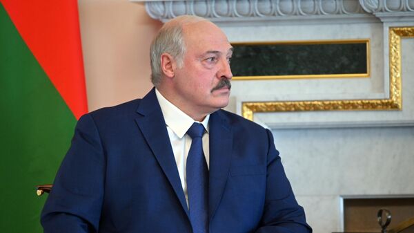 Президент Белоруссии Александр Лукашенко во время встречи с президентом России Владимиром Путиным - Sputnik Литва