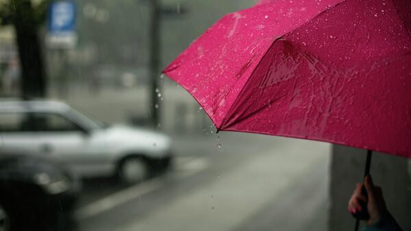Зонт в дождливую погоду, архивное фото - Sputnik Литва