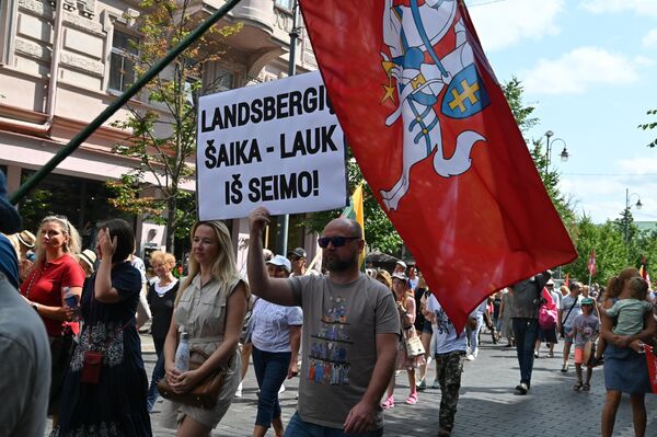 Vyras su plakatu &quot;Landsbergio šaika - lauk iš Seimo&quot;. - Sputnik Lietuva