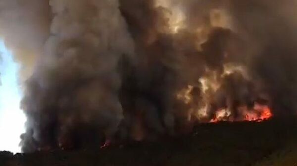 Крупный лесной пожар на турецком курорте Мармарис  - Sputnik Литва