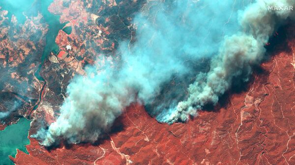Снимок со спутника природных пожаров в Турции  - Sputnik Lietuva