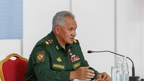 Министр обороны РФ, генерал армии Сергей Шойгу - Sputnik Литва