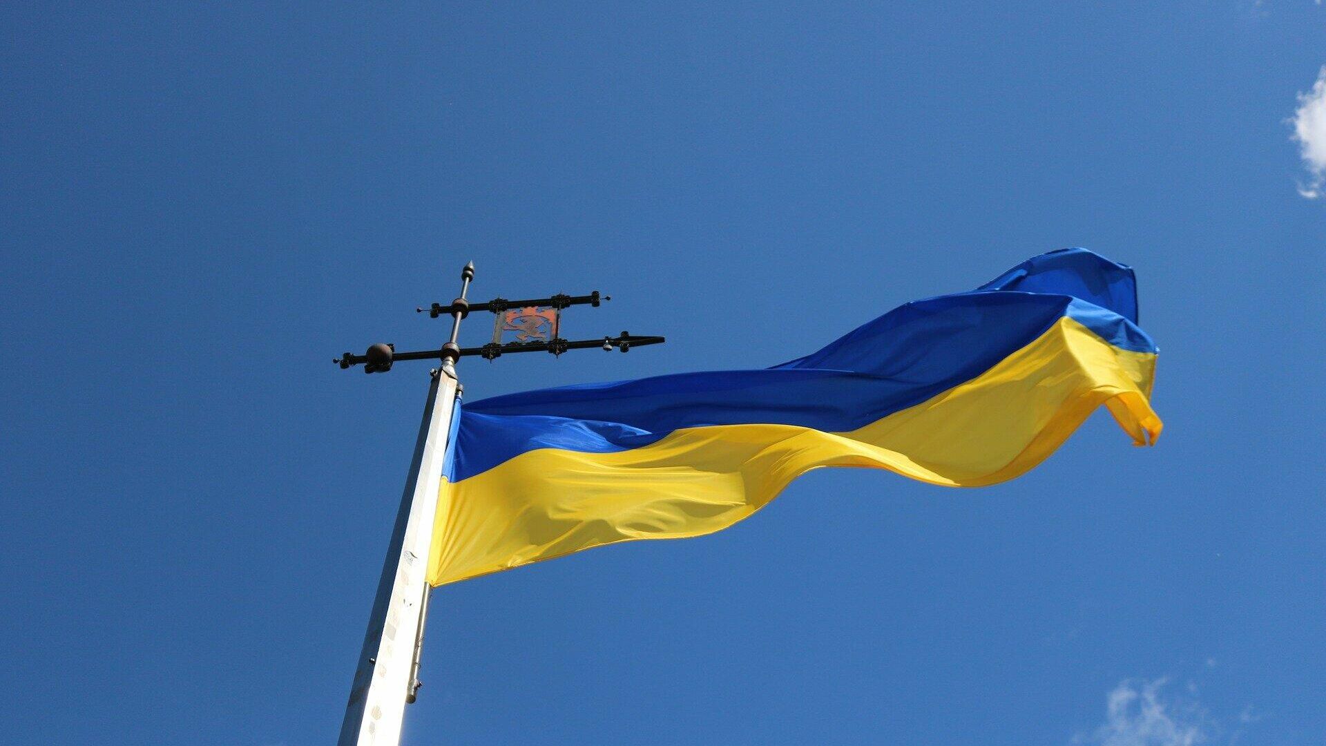Ukrainos vėliava - Sputnik Lietuva, 1920, 19.01.2022