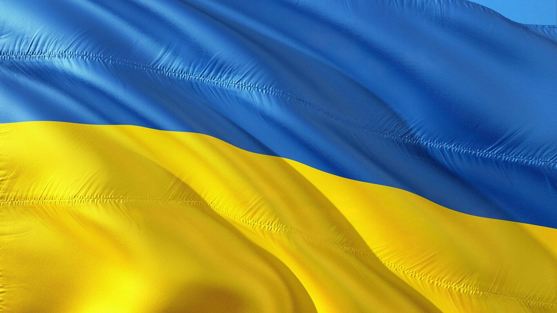 Ukrainos vėliava - Sputnik Lietuva, 1920, 13.02.2022