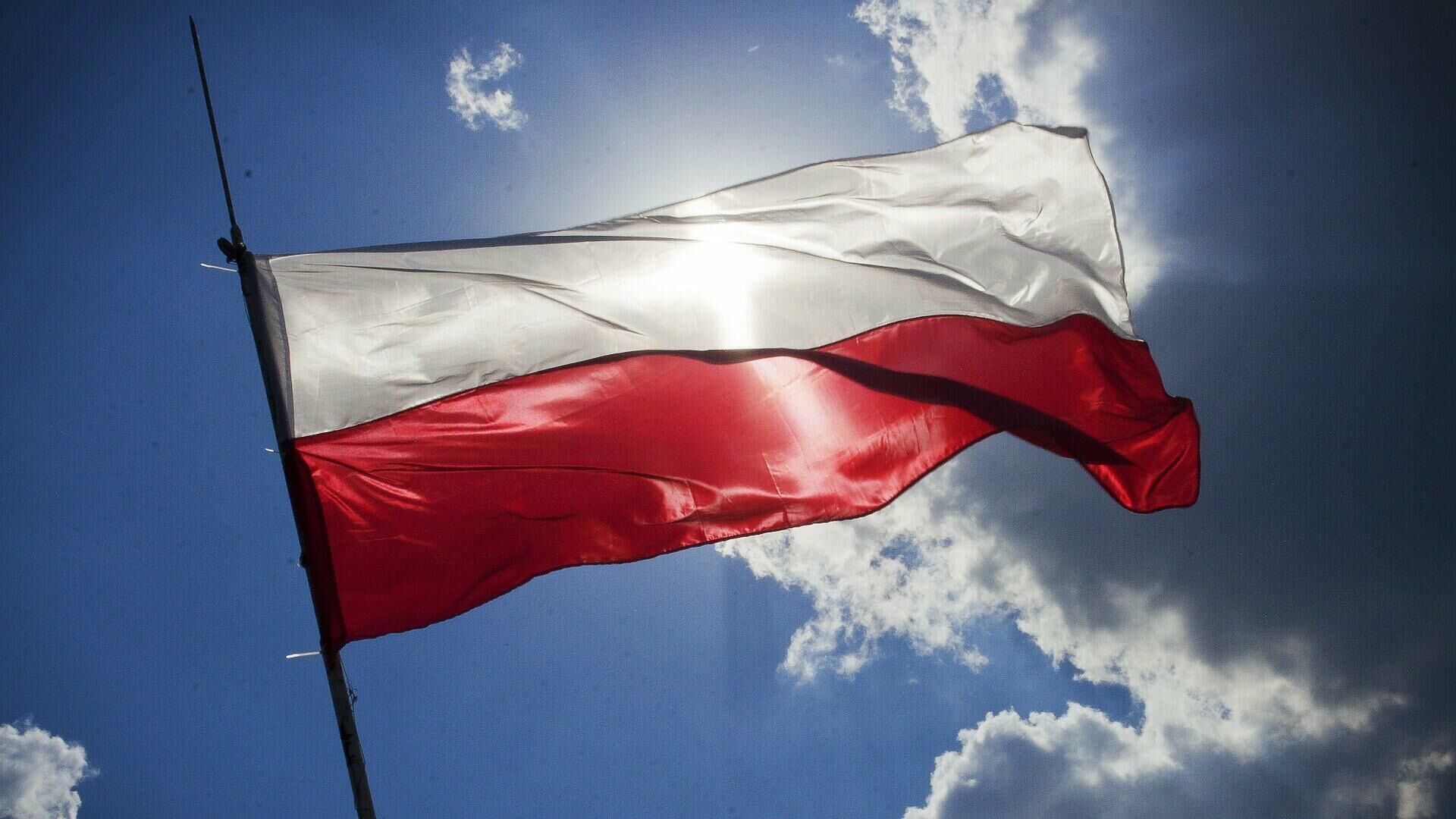 Lenkijos vėliava - Sputnik Lietuva, 1920, 17.02.2022