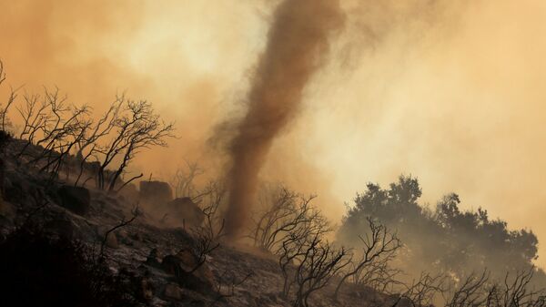 Пепельный вихрь во время природных пожаров в Калифорнии  - Sputnik Lietuva