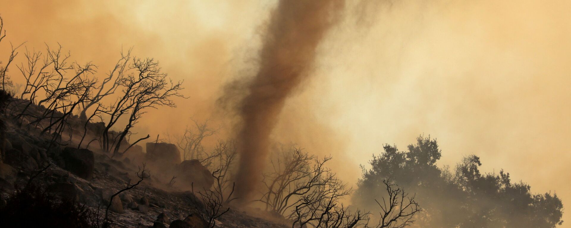 Пепельный вихрь во время природных пожаров в Калифорнии  - Sputnik Lietuva, 1920, 15.08.2021