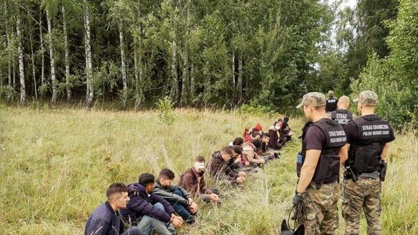 Нелегальные мигранты на границе Польши и Белоруссии - Sputnik Lietuva
