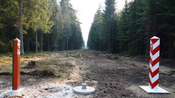 Приграничные столбы на границе Польши и Белоруссии, архивное фото - Sputnik Литва