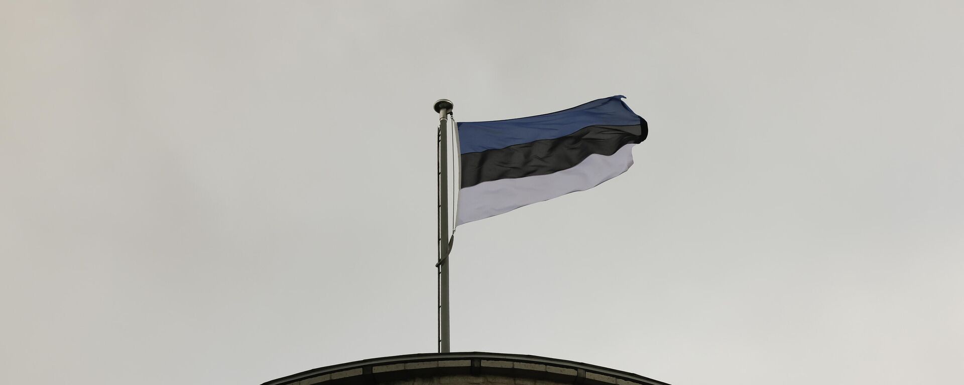 Estijos vėliava - Sputnik Lietuva, 1920, 28.04.2022