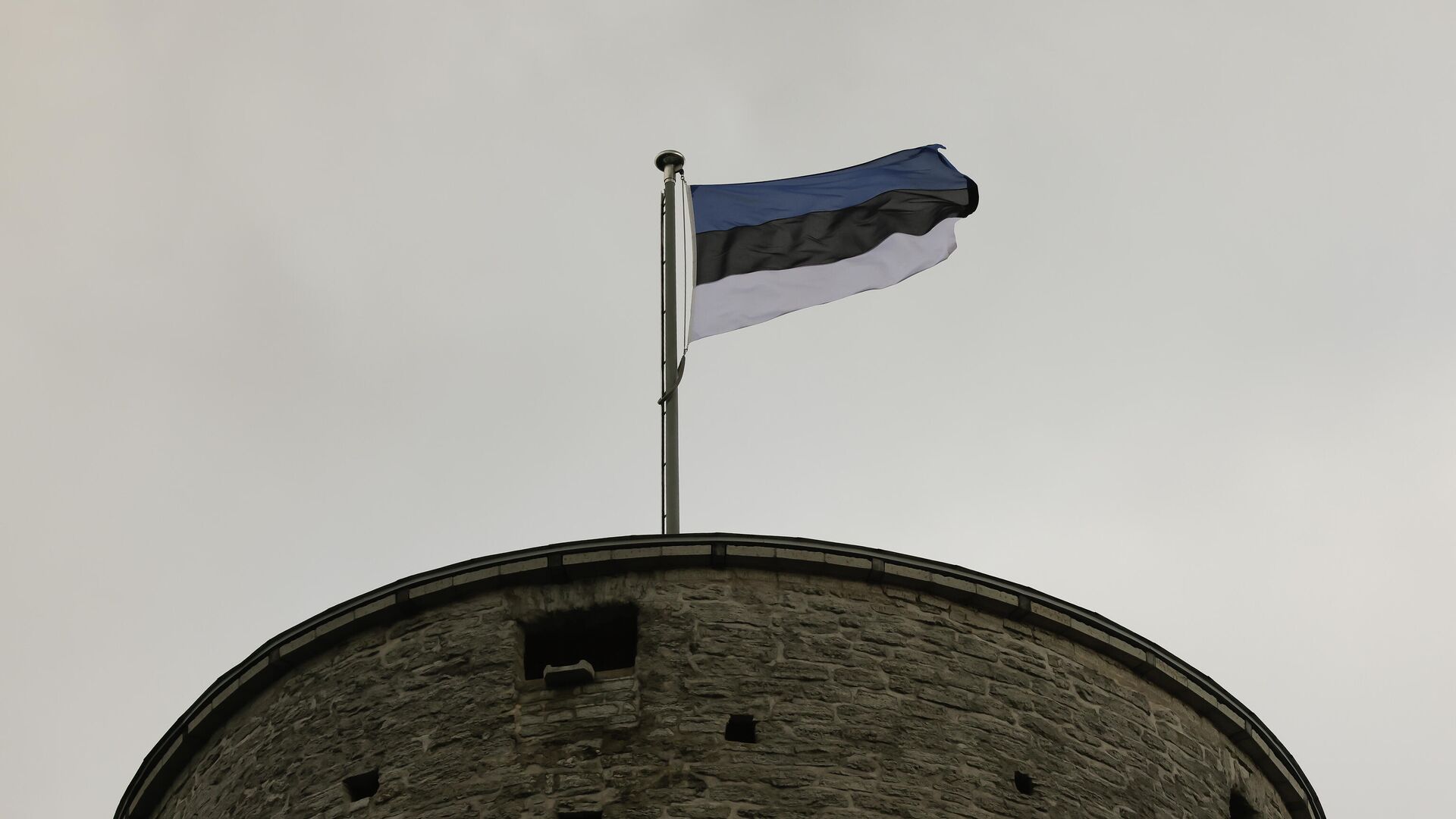 Флаг Эстонии, архивное фото - Sputnik Литва, 1920, 28.04.2022