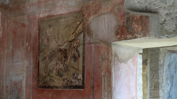 Freska viename iš Pompėjos miesto muziejaus po atviru dangumi namų - Sputnik Lietuva