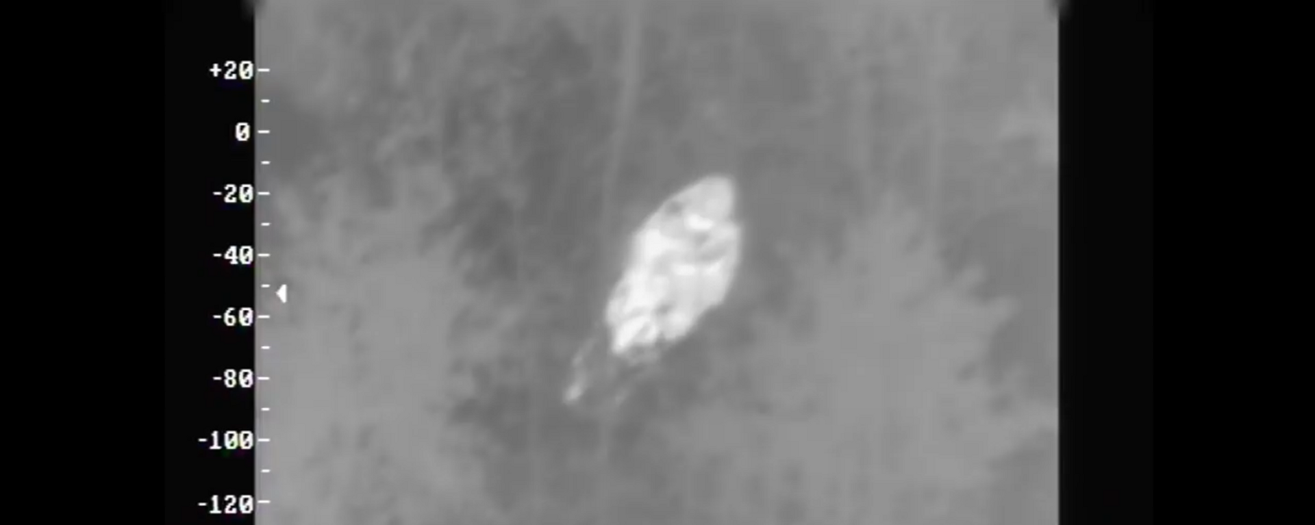 Литовские пограничники нашли заблудившуюся в лесу бабушку с помощью вертолета - Sputnik Lietuva, 1920, 10.09.2021