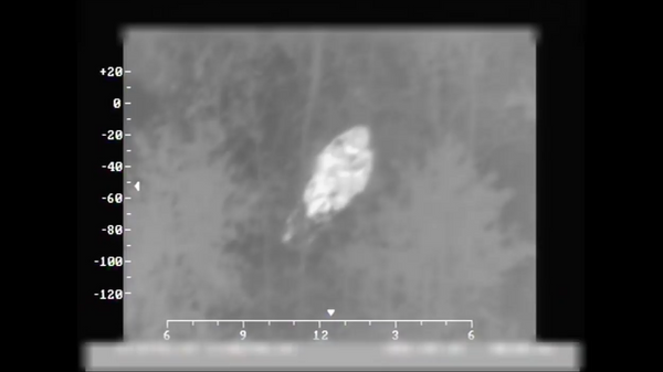 Литовские пограничники нашли заблудившуюся в лесу бабушку с помощью вертолета - Sputnik Литва