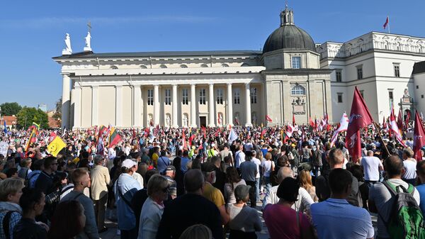 Митинг на Кафедральной площади в Вильнюсе - Sputnik Литва