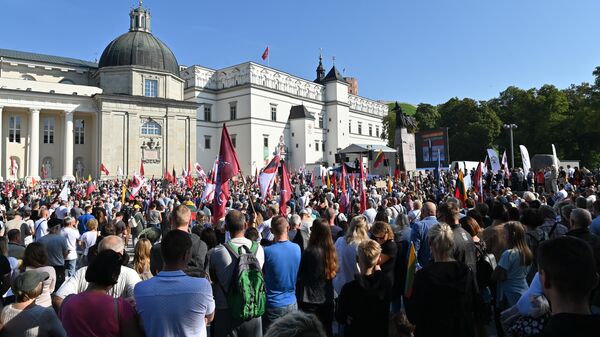 Митинг на Кафедральной площади в Вильнюсе - Sputnik Литва