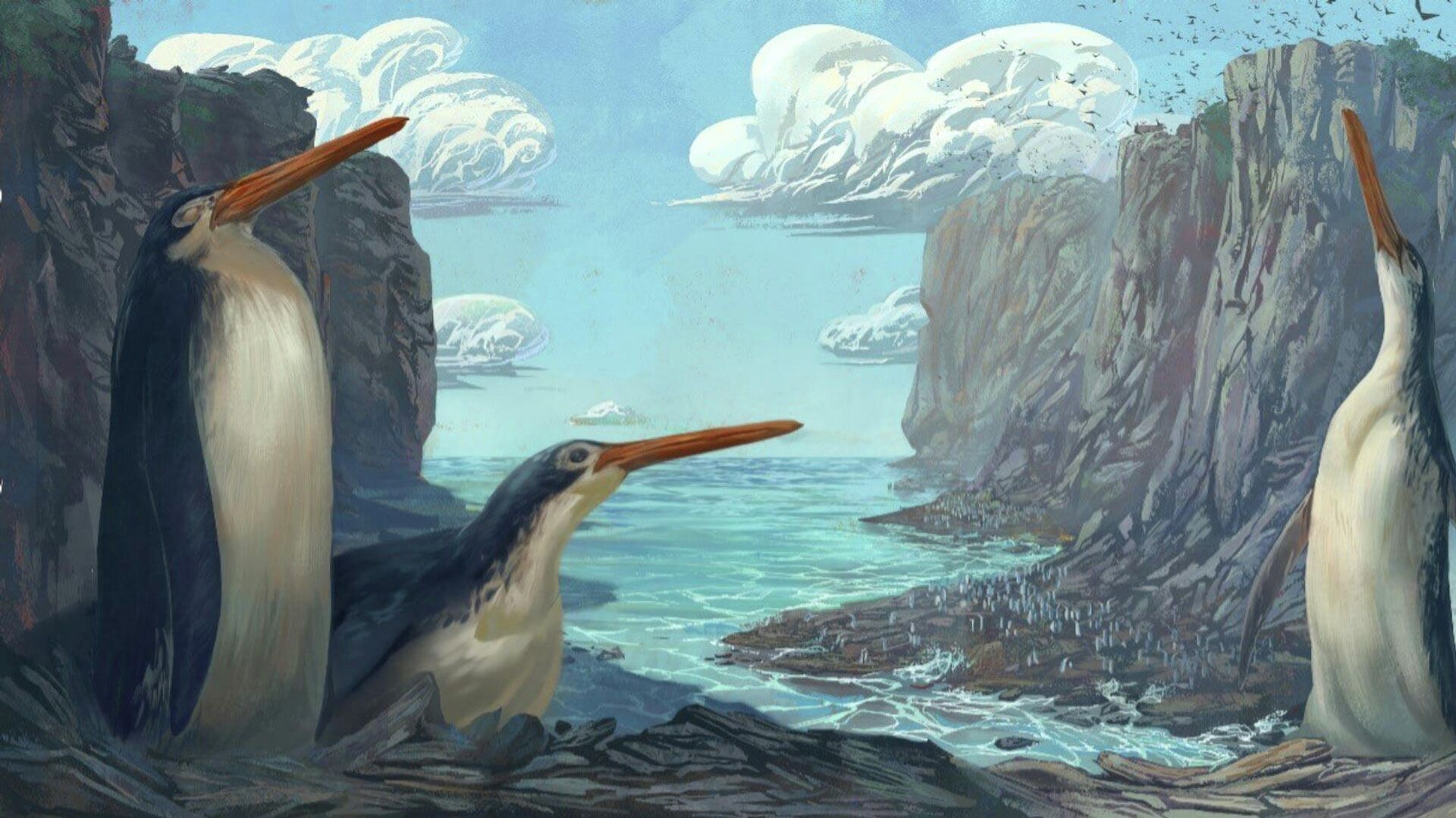 Художественная реконструкция гигантского пингвина Kairuku waewaeroa - Sputnik Lietuva, 1920, 05.11.2021