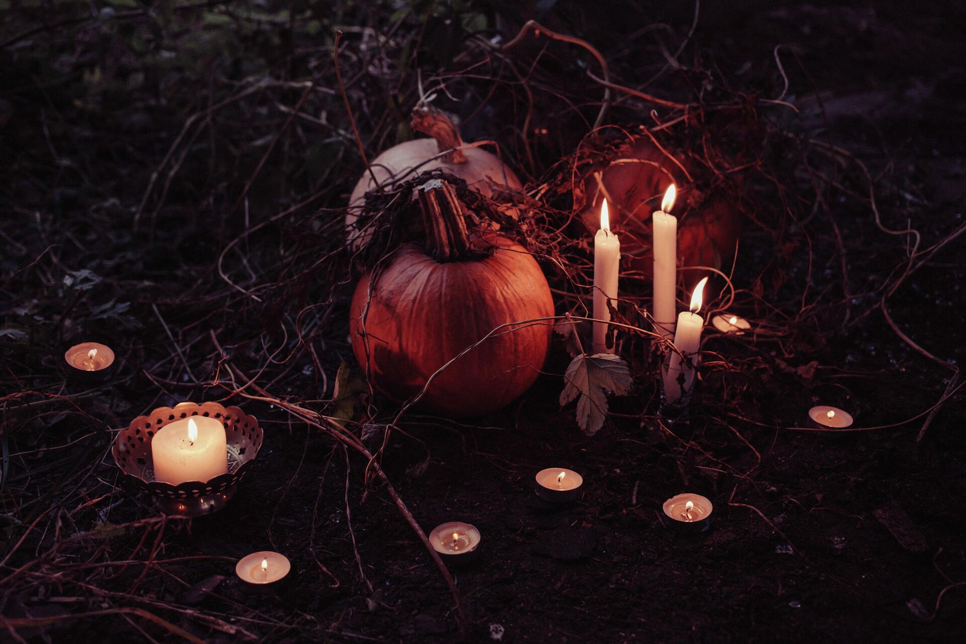 Тыквы и свечи в лесу, архивное фото - Sputnik Литва, 1920, 21.09.2021