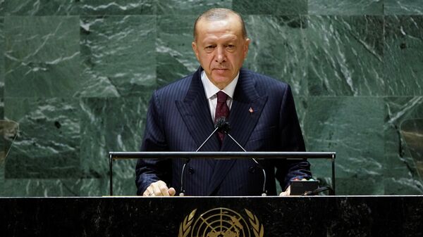 Turkijos prezidentas Tajipas Erdoganas - Sputnik Lietuva