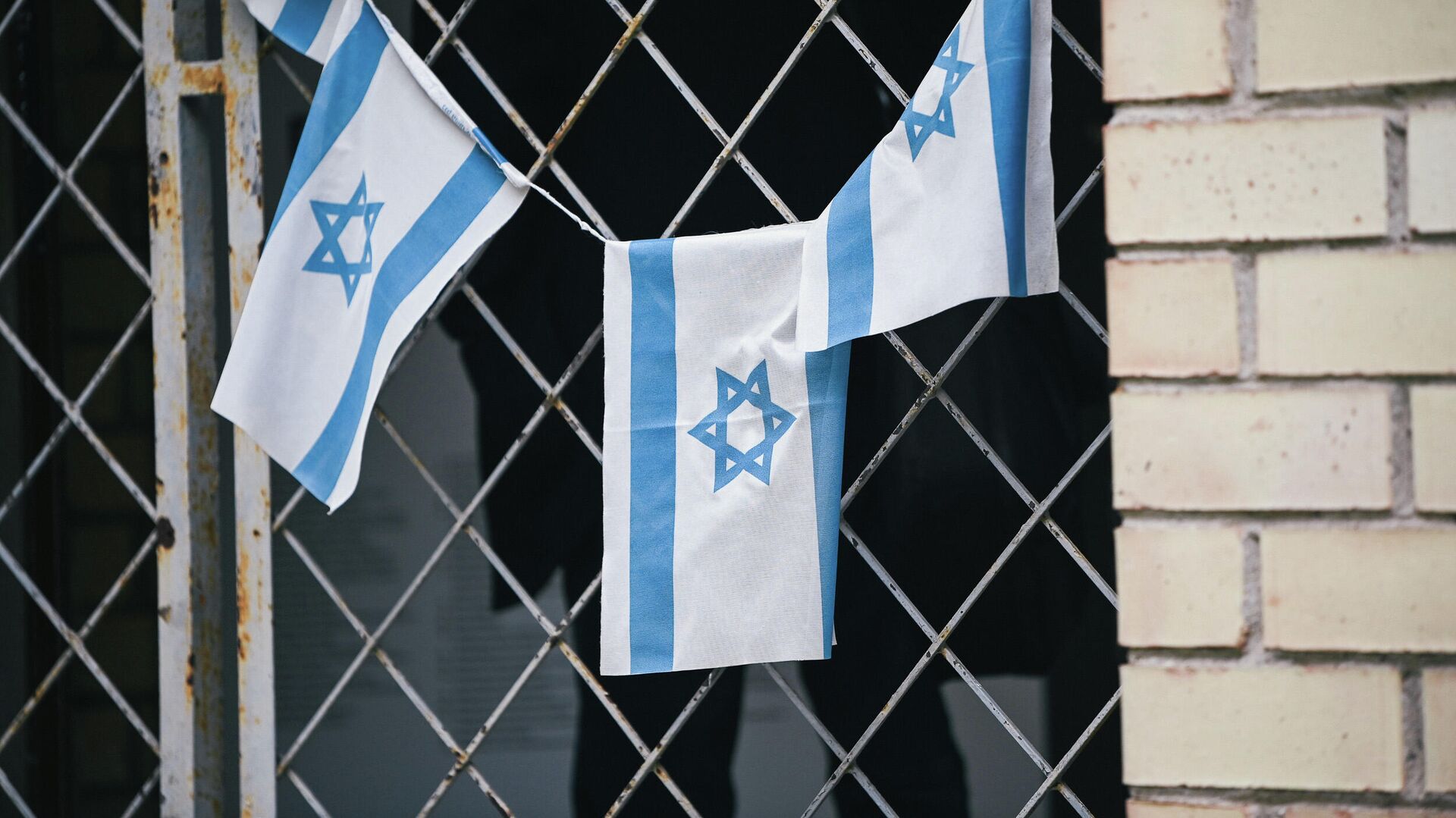 Флаги Израиля, архивное фото - Sputnik Литва, 1920, 19.10.2022