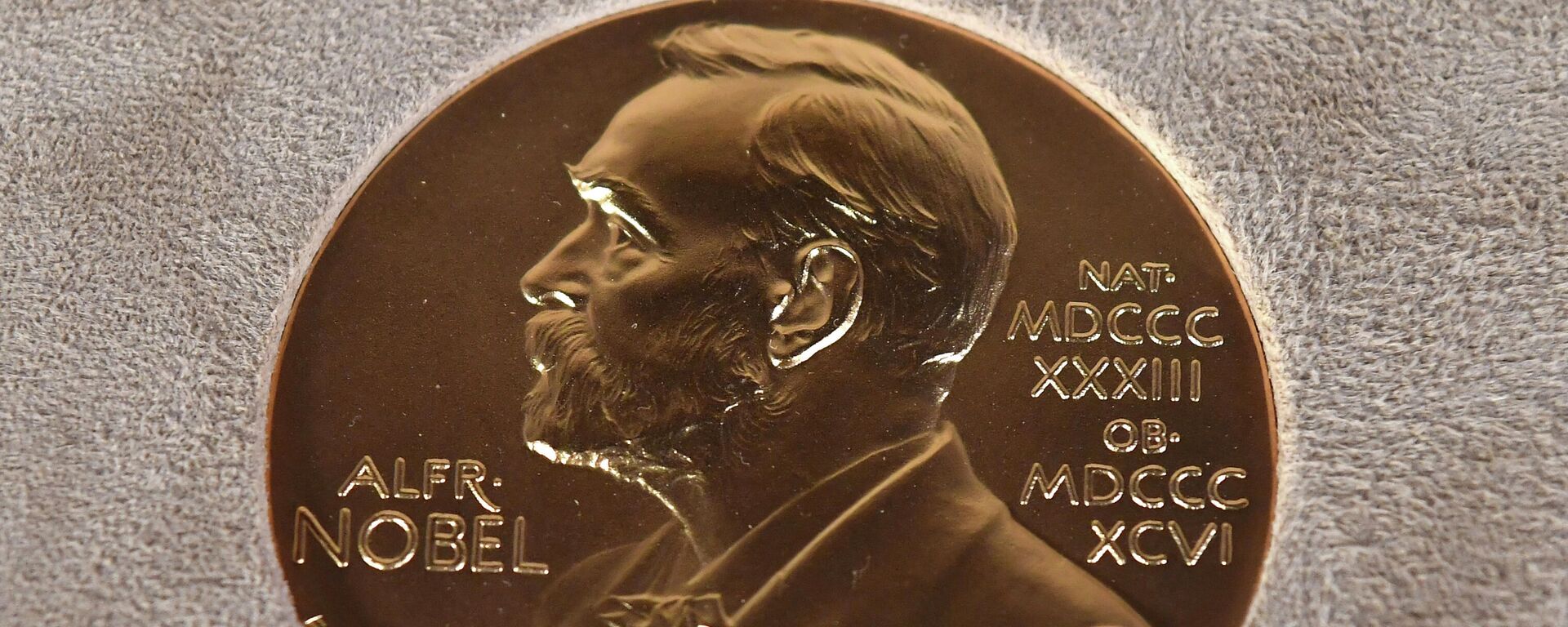 Nobelio premijos medalis - Sputnik Lietuva, 1920, 04.10.2021