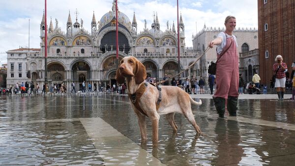 Девушка гуляет с собакой по затопленной площади Сан-Марко во время паводка в Венеции, Италия - Sputnik Lietuva