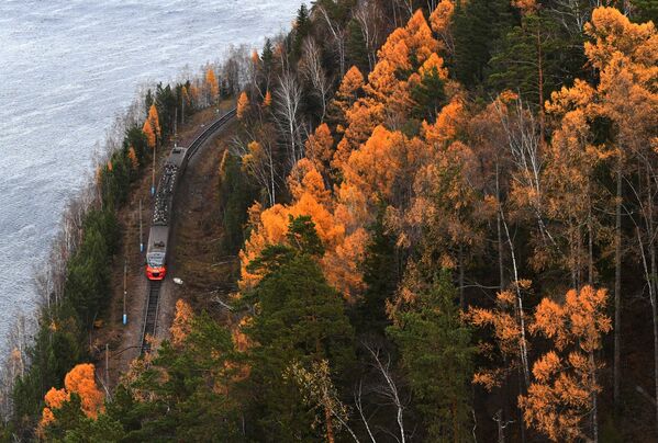 Priemiesčio elektrinis traukinys juda palei Jenisiejaus upę per Sibiro taigą netoli Krasnojarsko. - Sputnik Lietuva