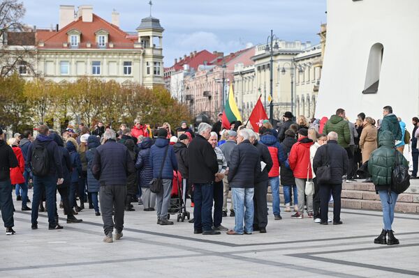 Mitingas vyko taikiai, protestuotojai nesutrikdė viešosios tvarkos. - Sputnik Lietuva