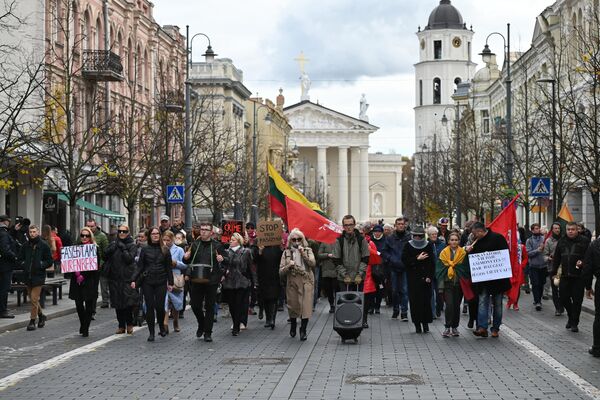 Как считает организатор митинга, правительство своими решениями разобщает народ и создают угрозу благополучию жителей. - Sputnik Литва