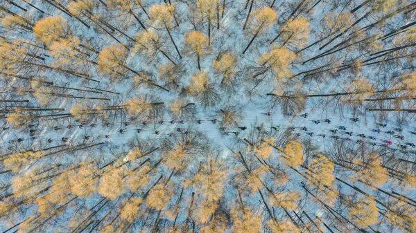 Kinijos fotografo Chang Xu, Stenino konkurso kategorijos Mano planeta, pavienės nuotraukos nugalėtojas, Slidinėjimas pavasarį. - Sputnik Lietuva