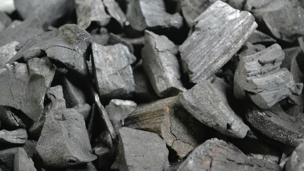 Уголь, архивное фото - Sputnik Литва