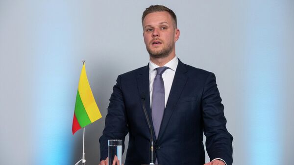 Глава МИД Литвы Габриэлюс Ландсбергис - Sputnik Литва