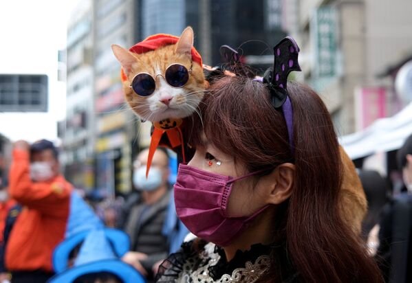 Mergina su kate dalyvauja Helovino šventėje Taivane. - Sputnik Lietuva