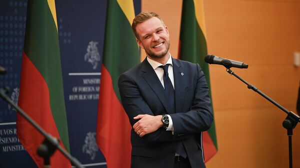 Глава МИД Литвы Габриэлюс Ландсбергис - Sputnik Литва