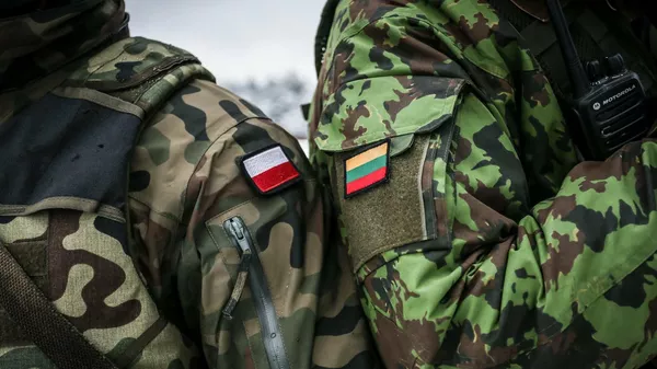 Lietuvos ir Lenkijos kariai - Sputnik Lietuva