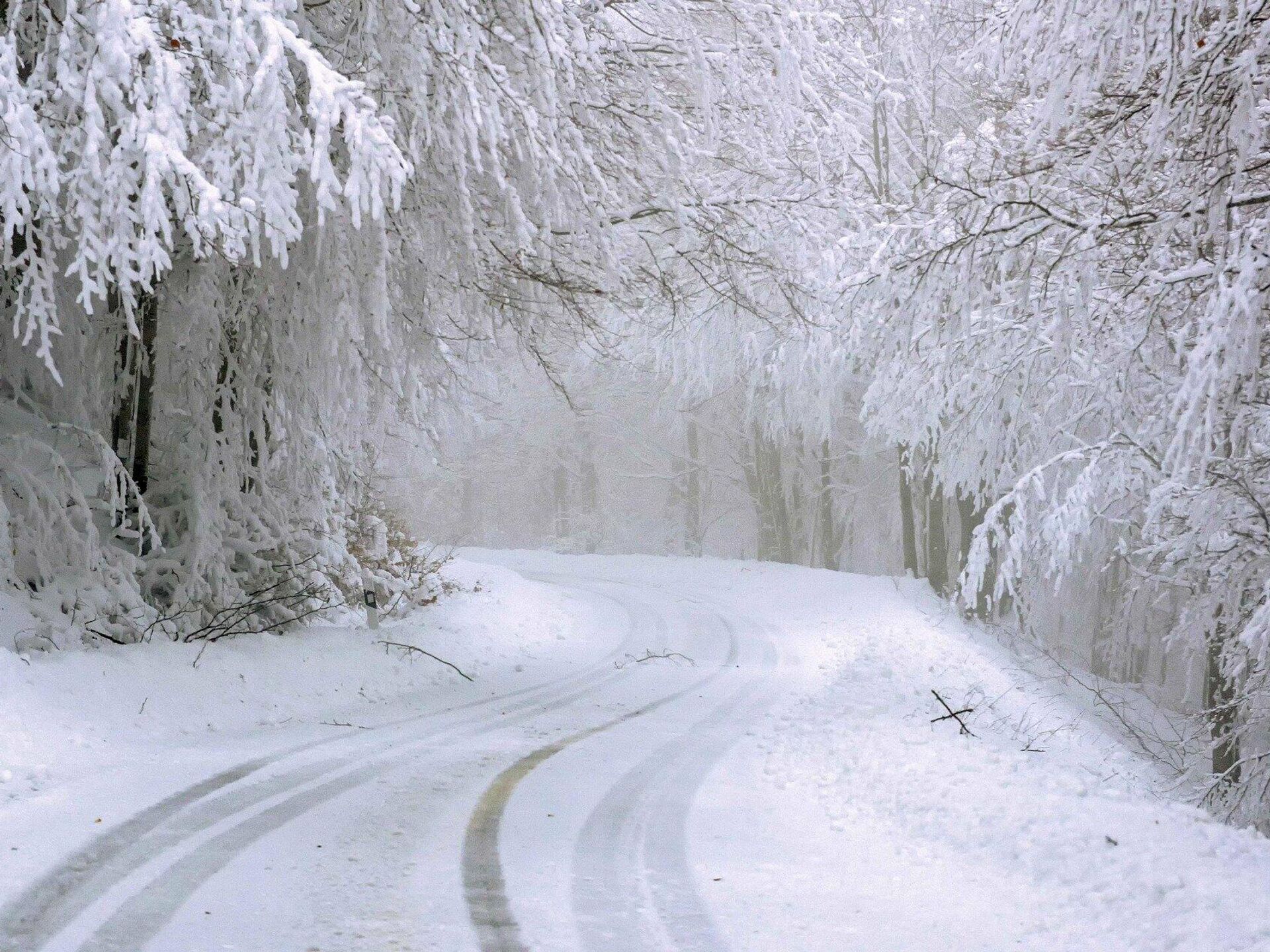 Январские сугробы. Зимняя дорога. Дорога зимой. Зимняя дорога в лесу. Снег фото.