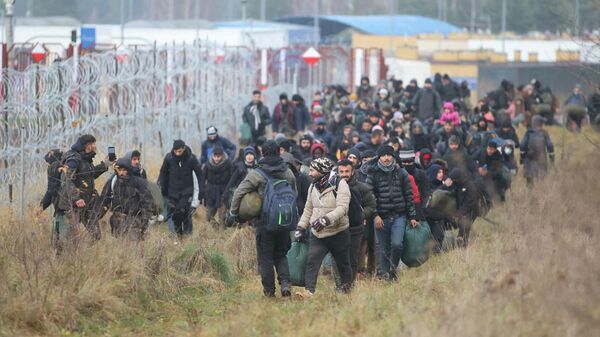 Группа мигрантов движется вдоль белорусско-польской границы - Sputnik Литва