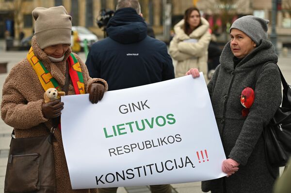 На плакате написано: &quot;Защищай Конституцию Литовской Республики!!!&quot; - Sputnik Литва