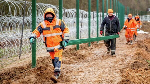 Строительство ограждения на границе Литвы и Белоруссии - Sputnik Lietuva