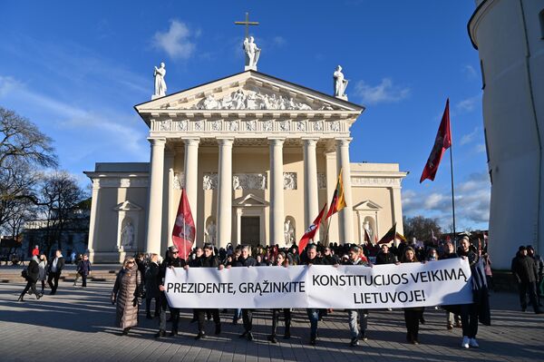 Plakate parašyta: &quot;Prezidente, grąžinkite Konstitucijos veikimą Lietuvoje&quot;. - Sputnik Lietuva