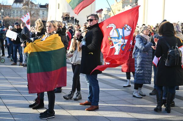 Daugelis protesto akcijos dalyvių atsinešė Lietuvos vėliavas ir plakatus. - Sputnik Lietuva