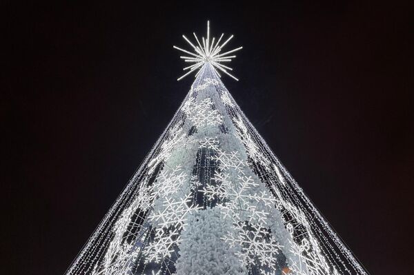 Vilniaus eglė šiemet simbolizuoja baltą žiemą ir šviesias Kalėdas. - Sputnik Lietuva